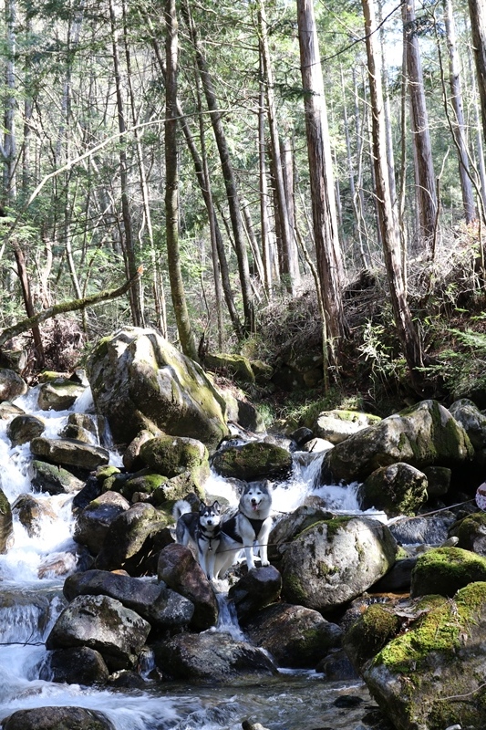 b0207615_00130594.jpg