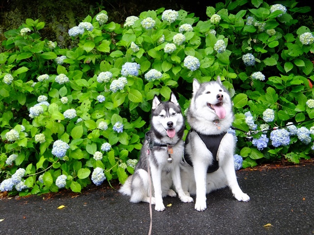 b0207615_20234736.jpg