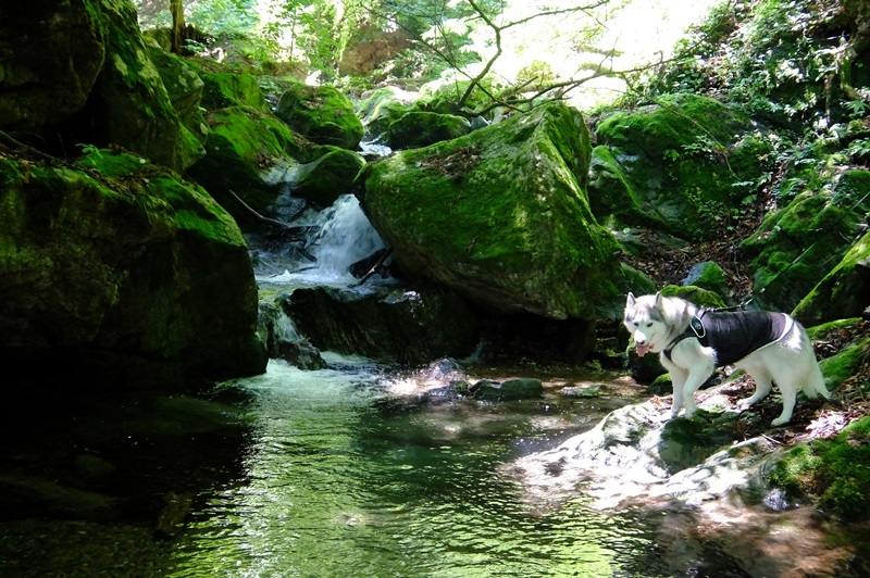 b0207615_21225530.jpg