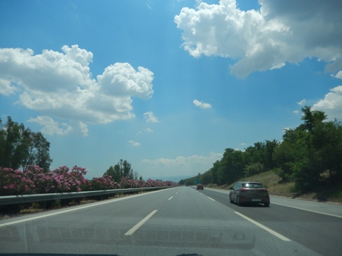 b0182718_4412876.jpg