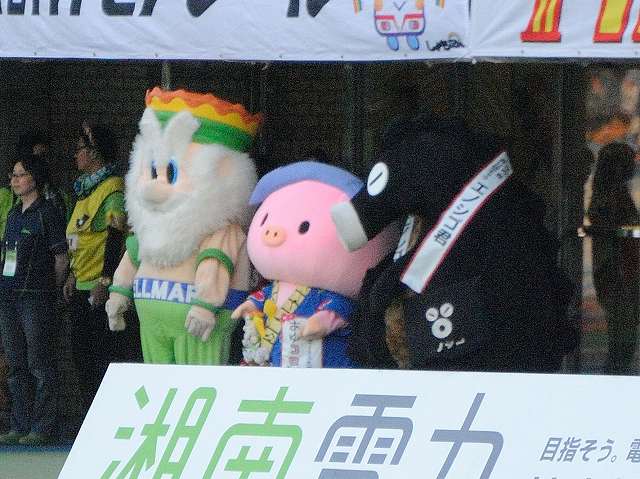 b0000829_8322290.jpg