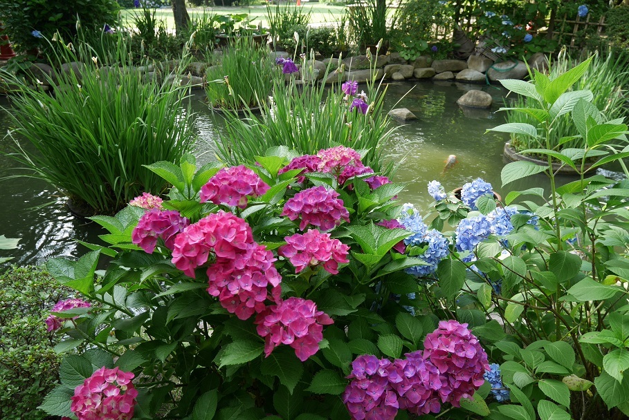 f0231829_21545475.jpg