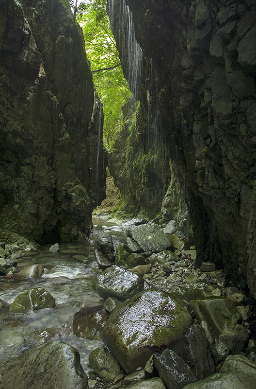 d0147530_9151388.jpg