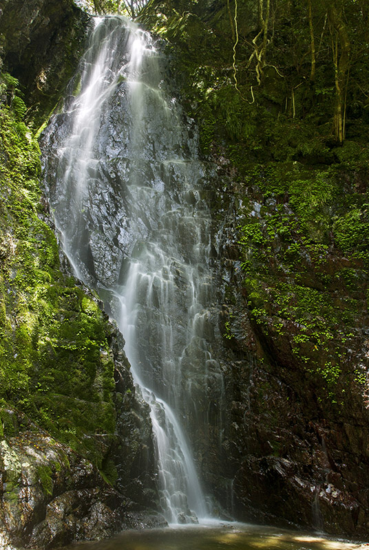 d0147530_9153469.jpg