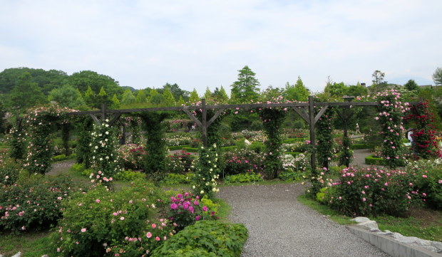 b0178339_23404800.jpg