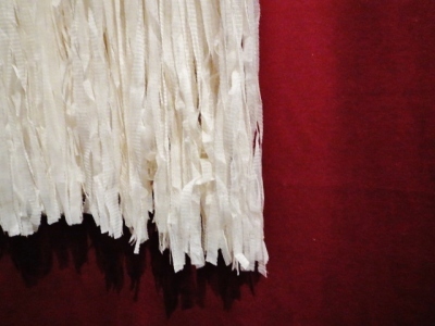 a0159652_15050490.jpg