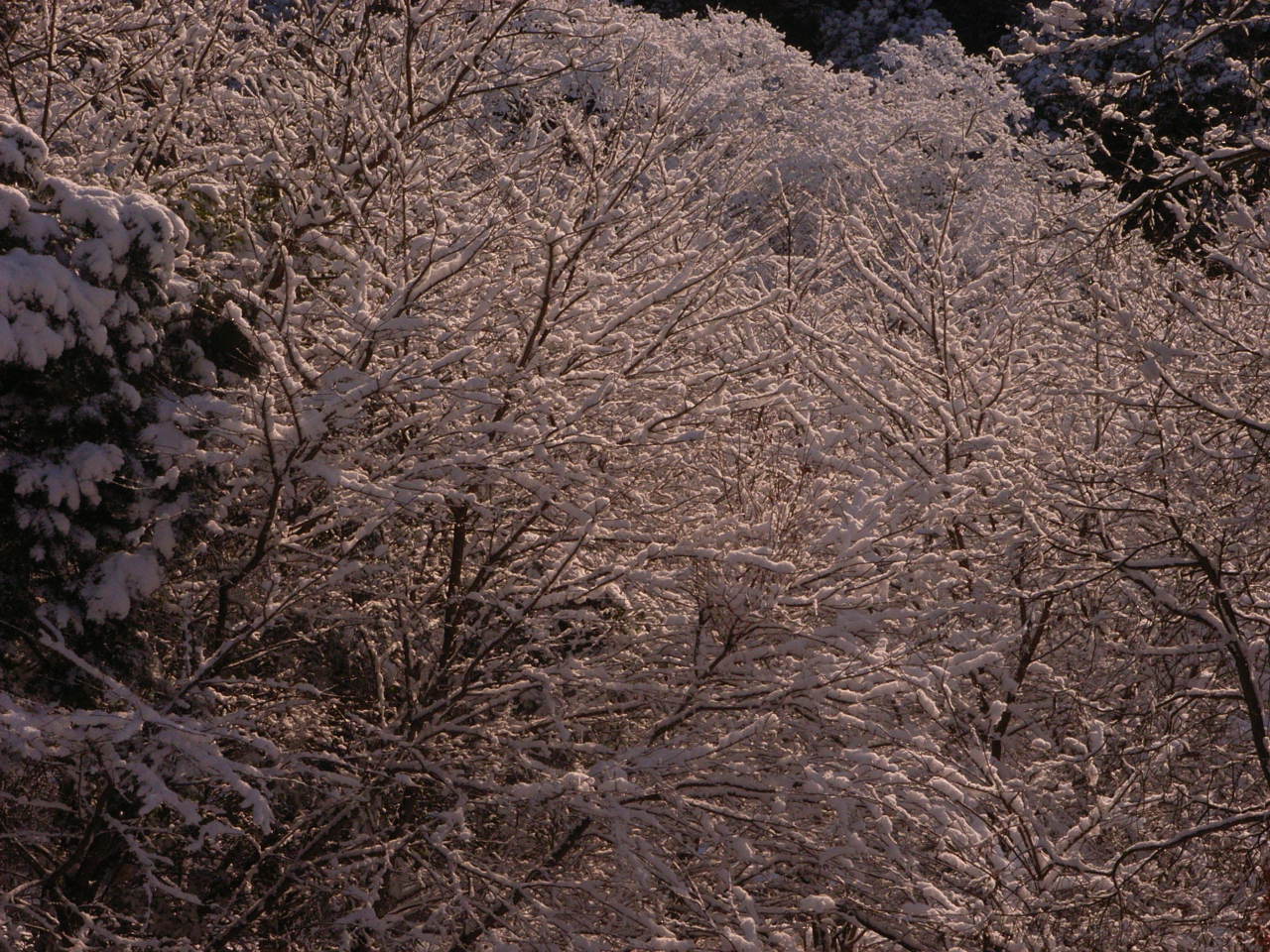 f0257756_0441020.jpg