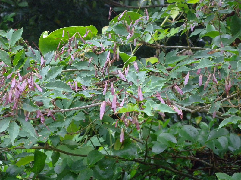 b0104861_21161691.jpg