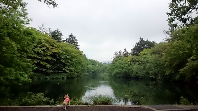 b0274270_12372197.jpg