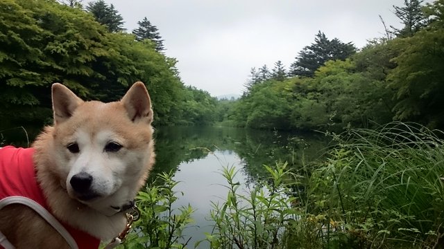b0274270_12373032.jpg