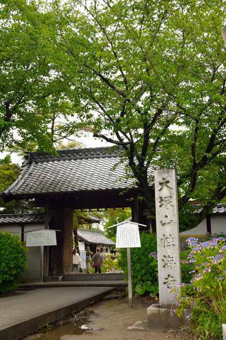 c0367473_20030935.jpg
