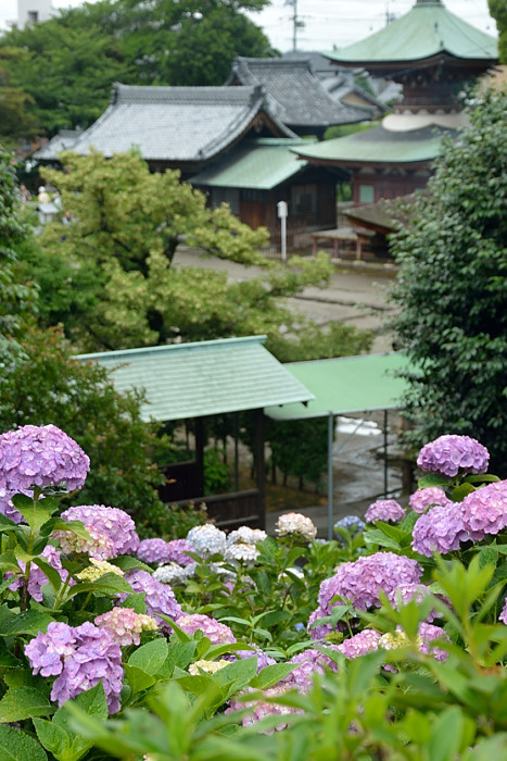 c0367473_20080208.jpg