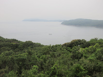 f0053885_20301880.jpg
