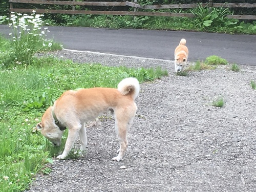 c0123890_20101538.jpg