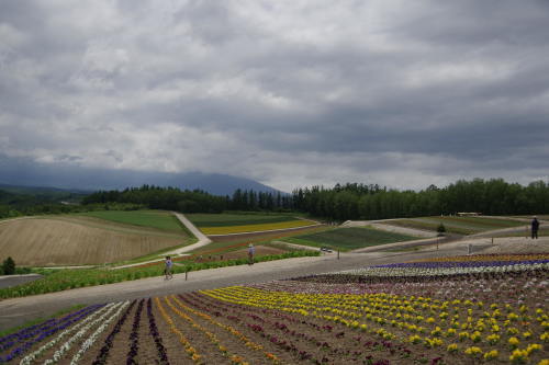 c0352894_12045115.jpg