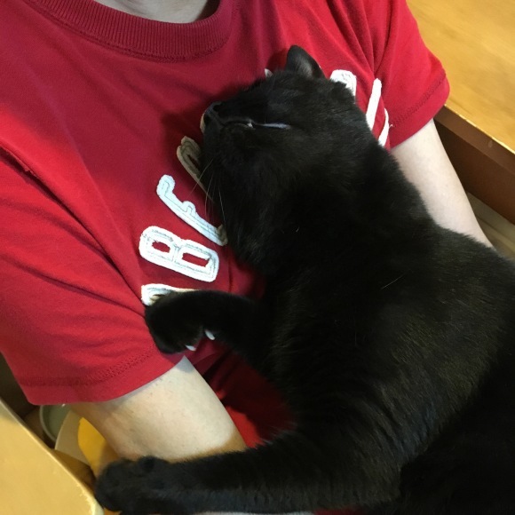 c0011300_22543161.jpeg