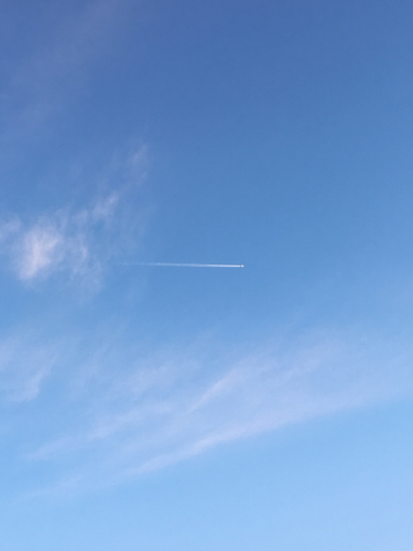 b0349003_23193045.jpg