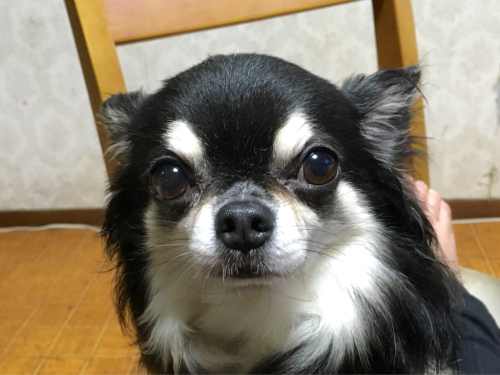 e0177509_22014364.jpg