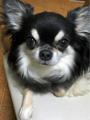e0177509_22014367.jpg