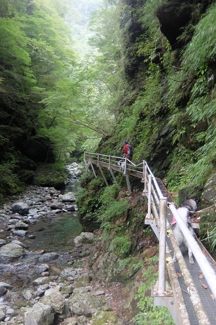 b0207615_23291637.jpg