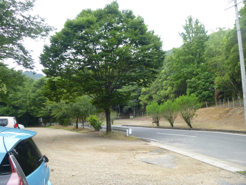 d0170615_1753328.jpg