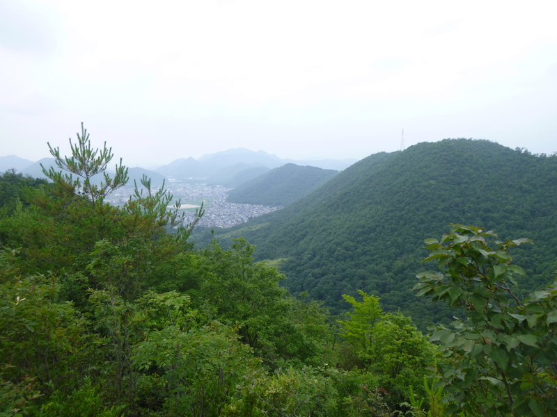 d0170615_17535794.jpg