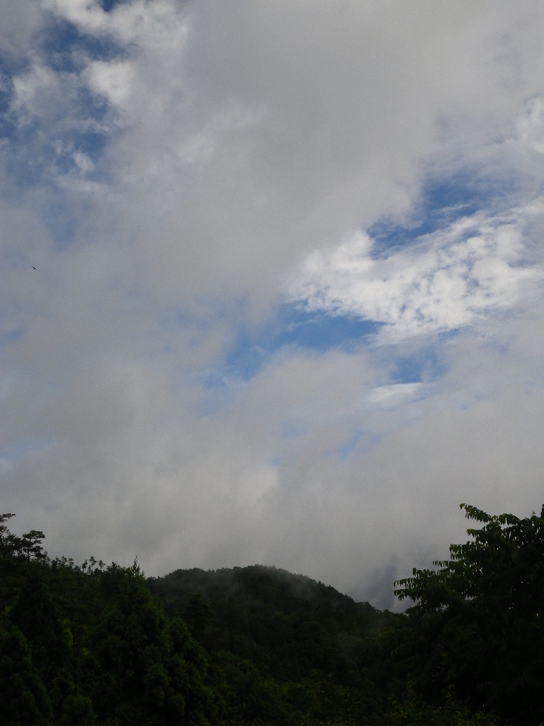 c0189724_14261965.jpg
