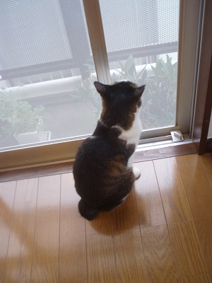 c0033636_726574.jpg