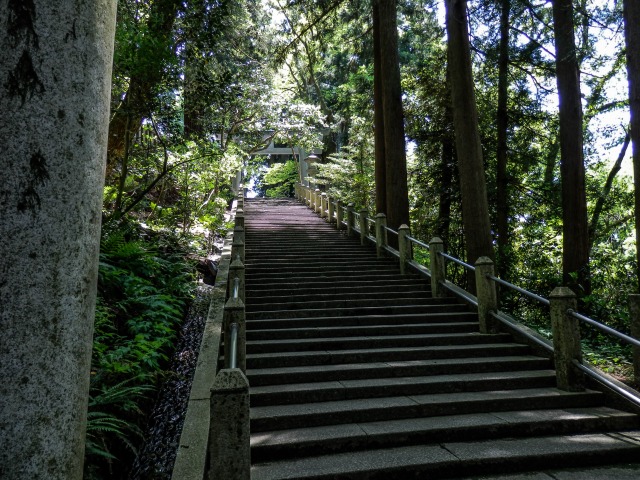 f0029038_21252990.jpg