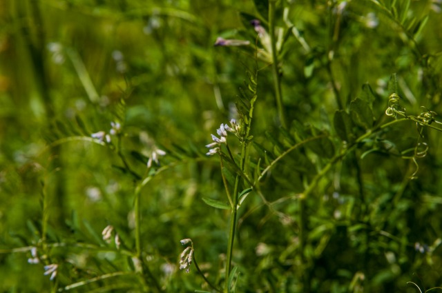 f0029038_21545744.jpg