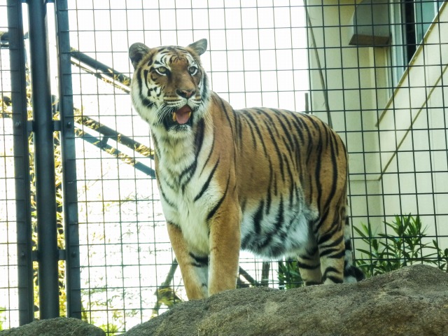 f0029038_21564043.jpg