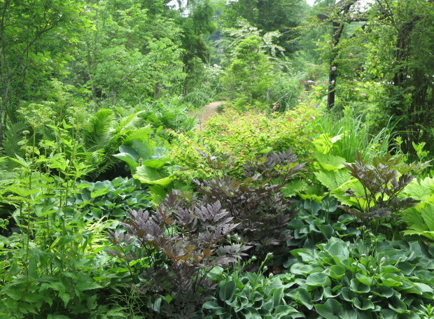 b0178339_00310880.jpg