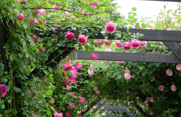 b0178339_01084223.jpg