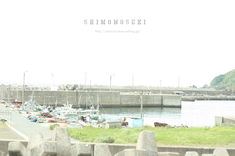 d0173942_94549100.jpg
