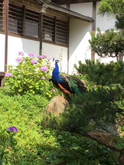 c0358850_10204224.jpeg