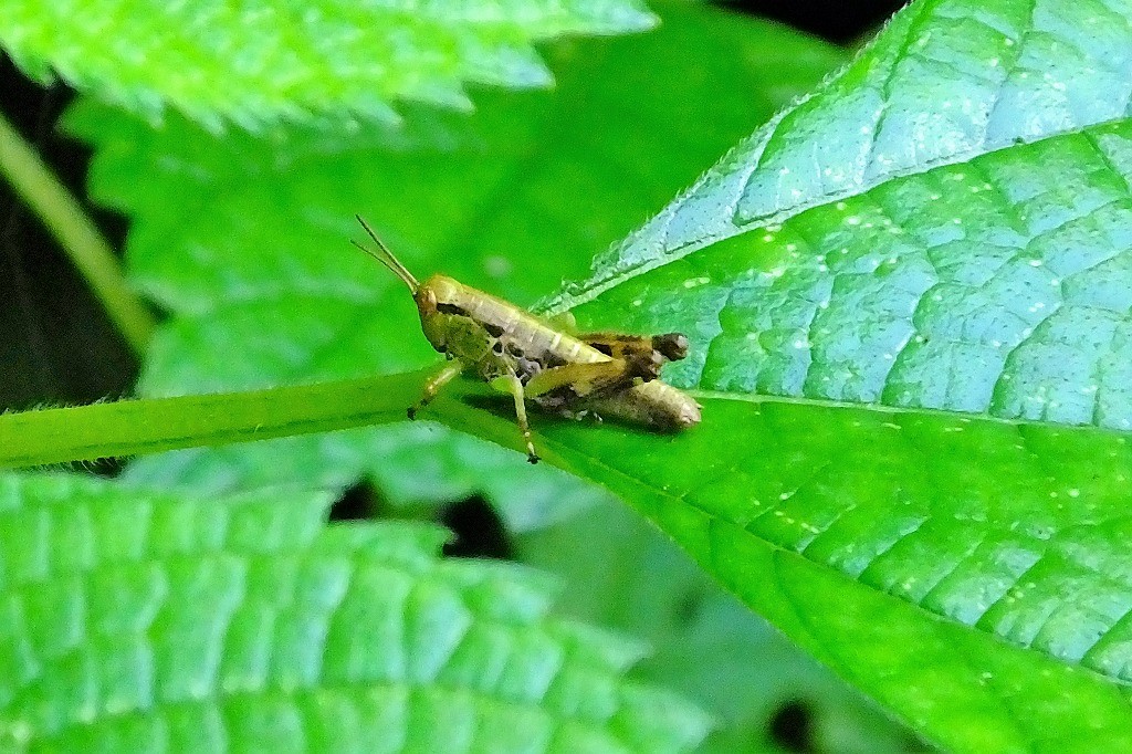 b0236251_10522350.jpg
