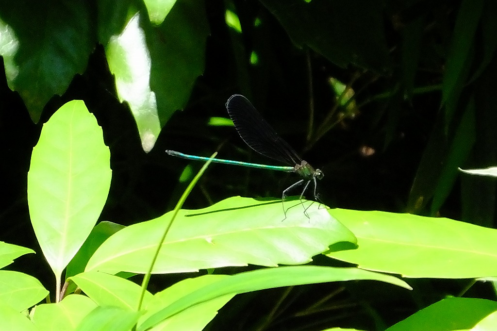 b0236251_10543140.jpg