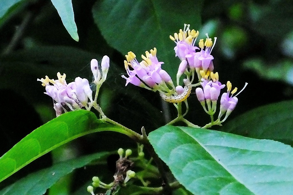 b0236251_10564513.jpg
