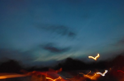 e0010856_1018928.jpg