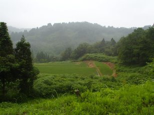 b0079965_4394919.jpg