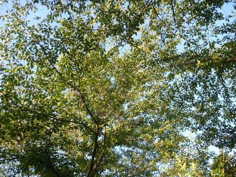e0161972_2027652.jpg