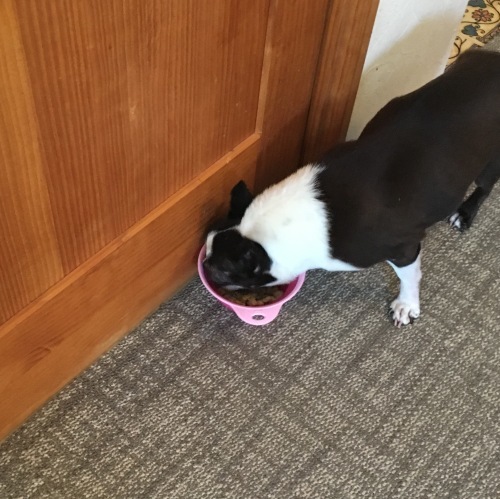 d0041575_22405110.jpeg