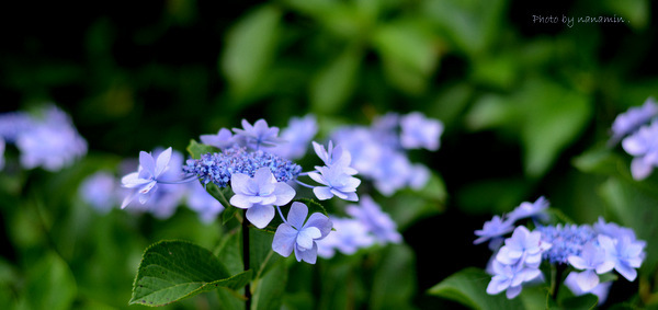 c0269677_22101639.jpg