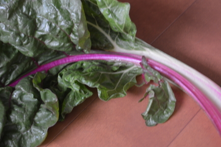 f0312278_21354396.jpg