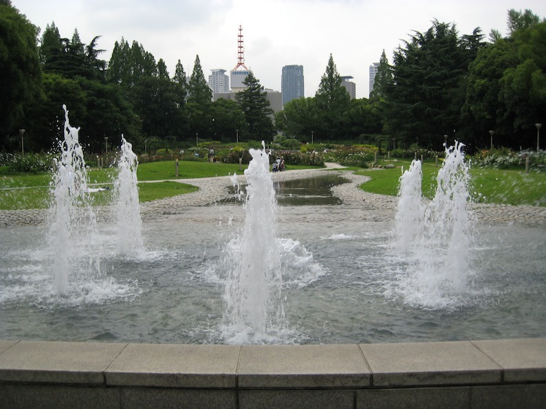 b0057679_8572718.jpg