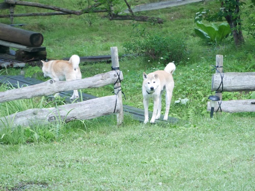 c0123890_18321462.jpg