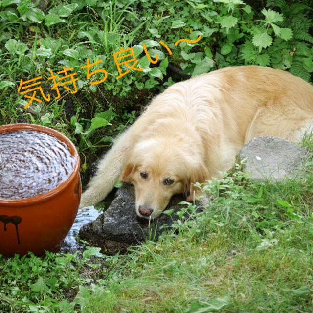 c0123890_19333171.jpg