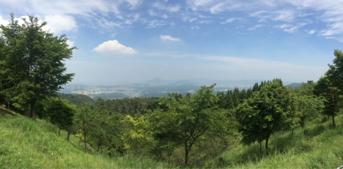 a0348193_18503313.jpg