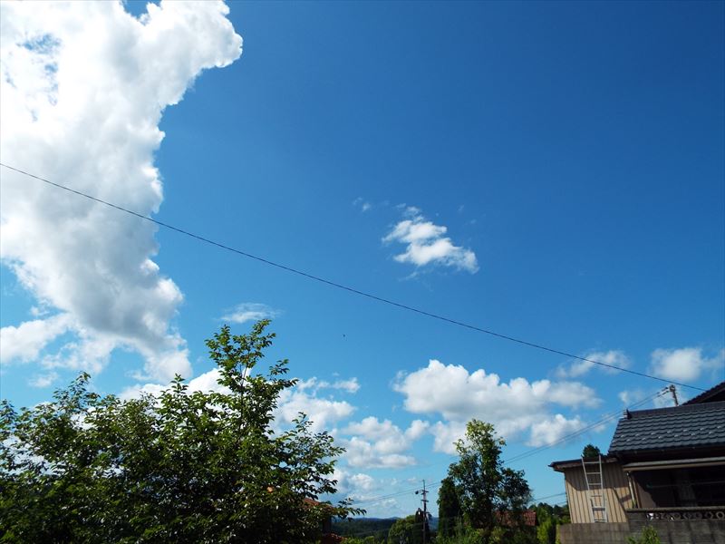 c0108198_1661963.jpg