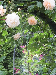 f0325309_19262231.jpg